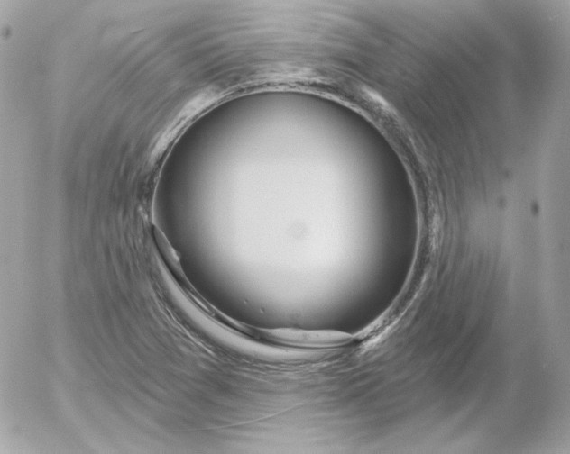 X0000052941361200507221136