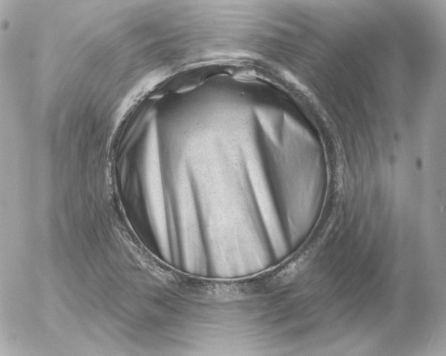 X0000052941362200507221136