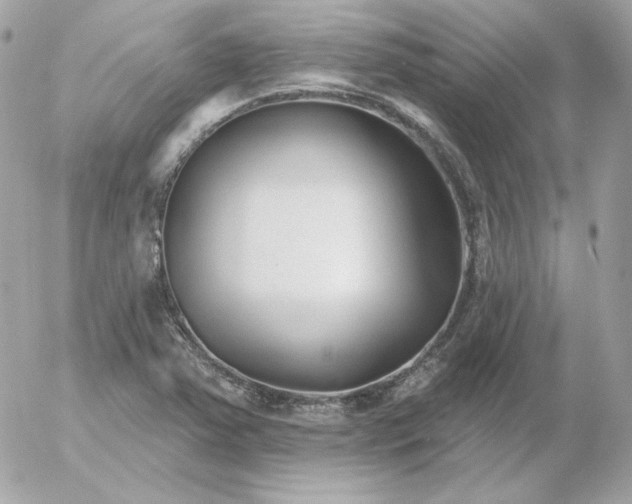 X0000052941363200507221136