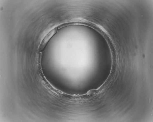 X0000052941364200507221136