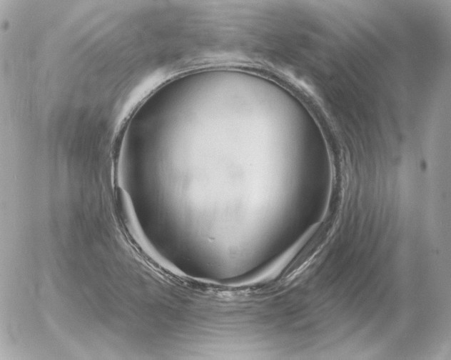 X0000052941365200507221136