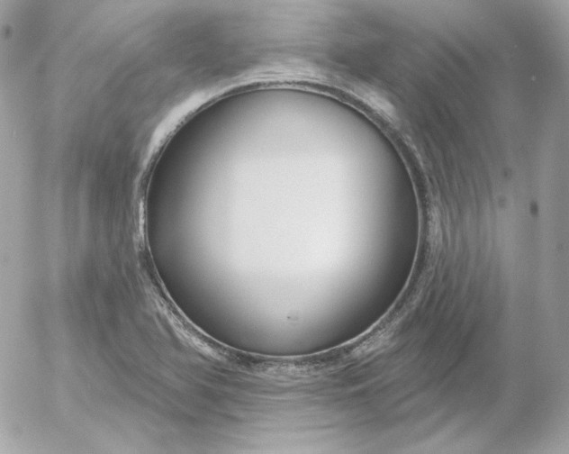 X0000052941366200507221136