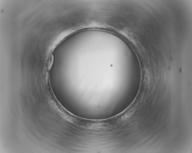 X0000052941367200507221136