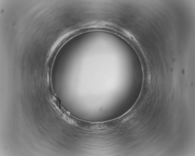 X0000052941368200507221136