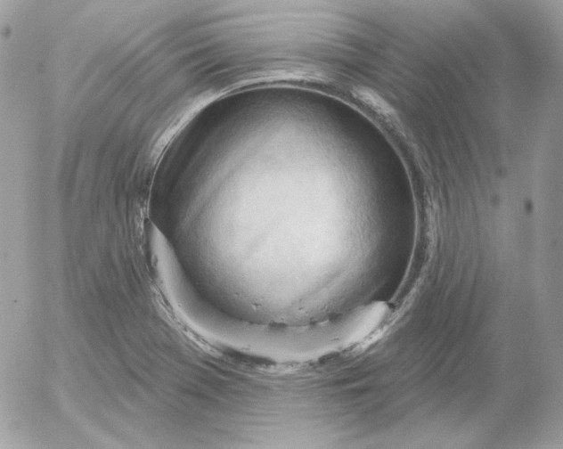 X0000052941369200507221136