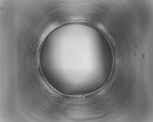 X0000052941370200507221136