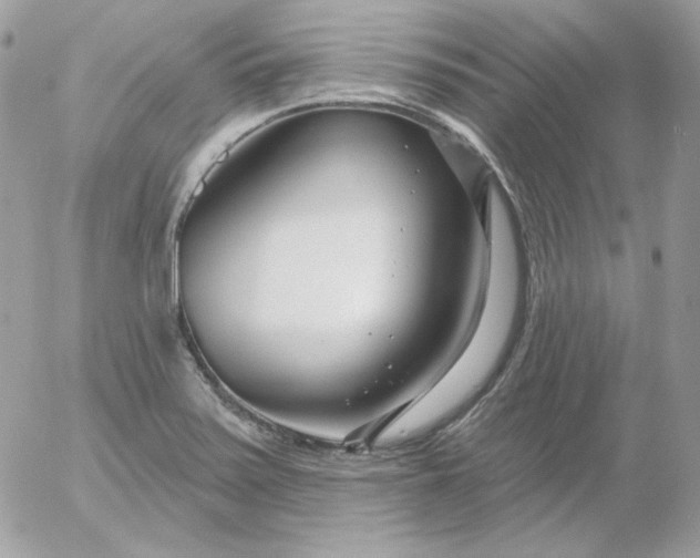 X0000052941371200507221136