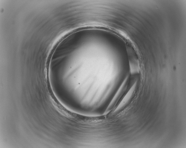 X0000052941372200507221136