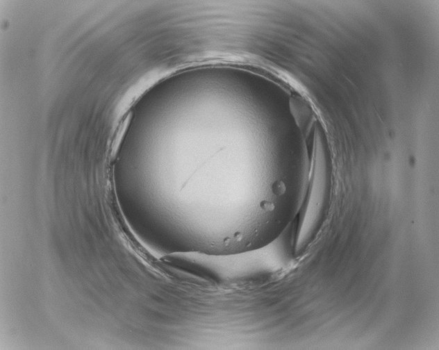 X0000052941373200507221136