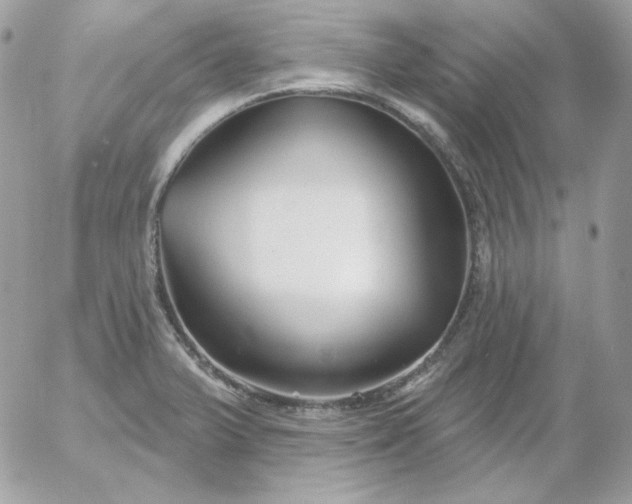 X0000052941375200507221136