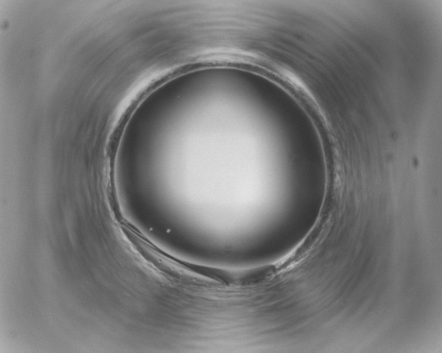 X0000052941376200507221136