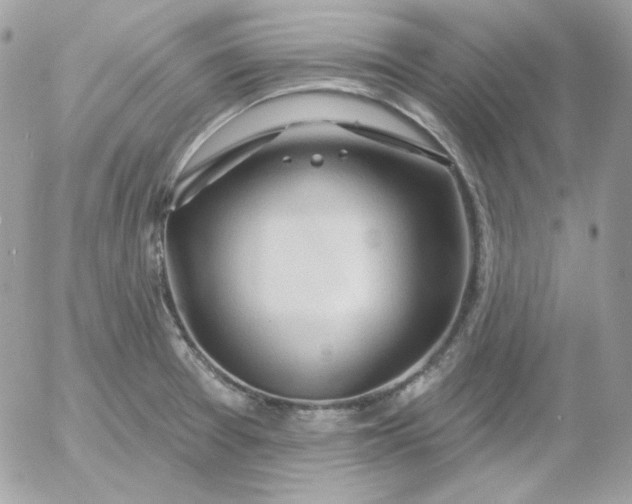 X0000052941377200507221136