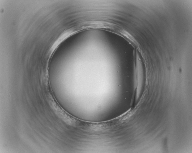 X0000052941378200507221136