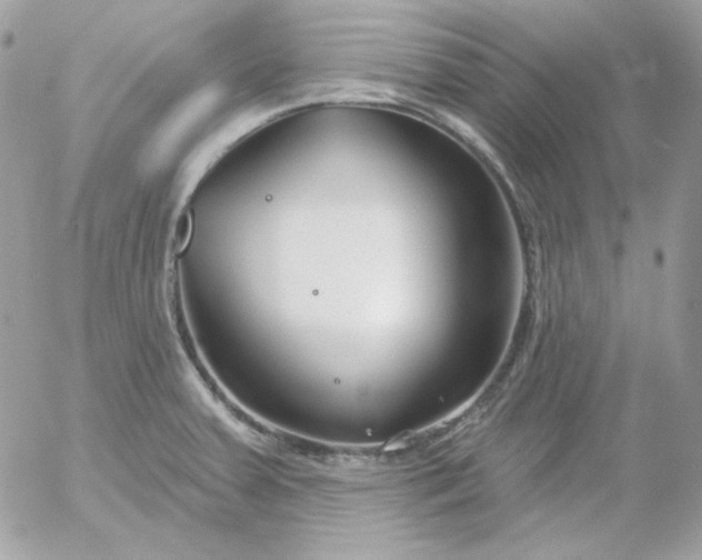 X0000052941379200507221136