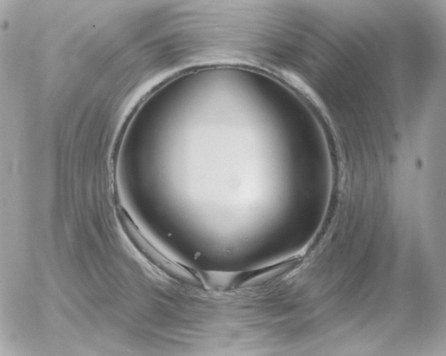 X0000052941380200507221136