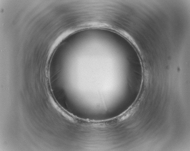 X0000052941381200507221136