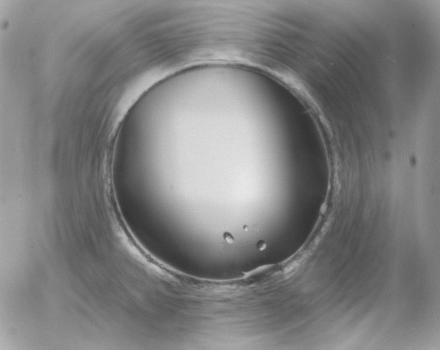 X0000052941382200507221136