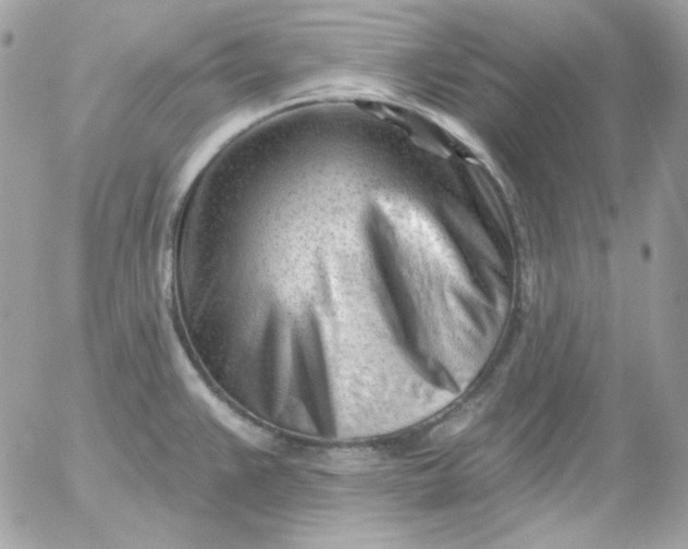 X0000052941383200507221136