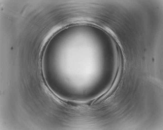 X0000052941384200507221135