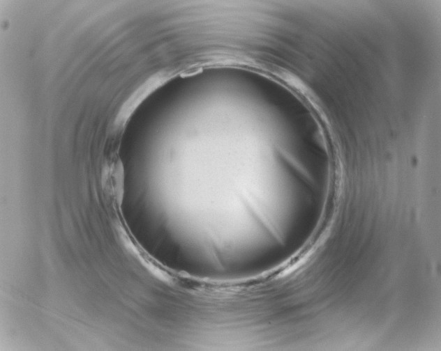 X0000052941385200507221135