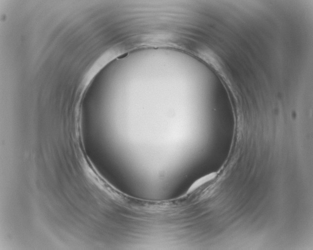 X0000052941386200507221135