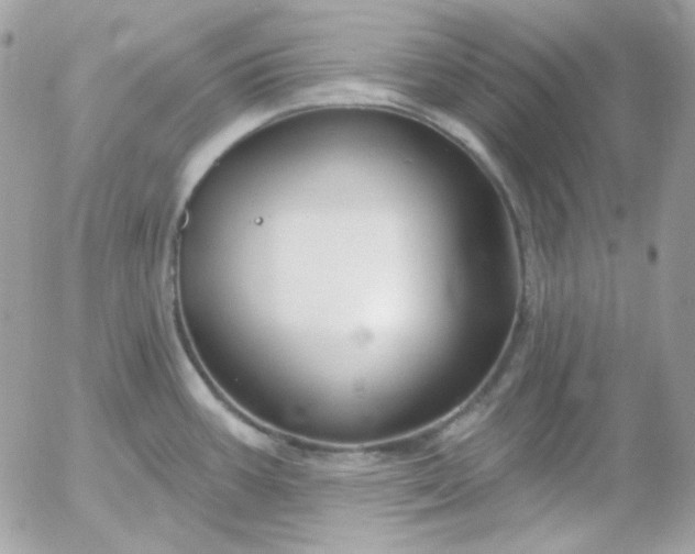 X0000052941387200507221135