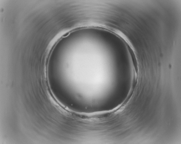 X0000052941388200507221135