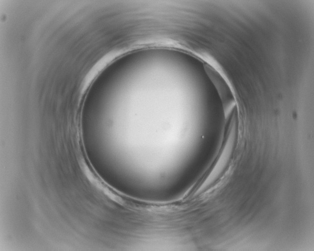 X0000052941389200507221135