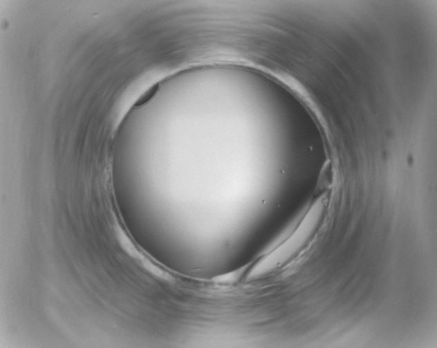 X0000052941390200507221135