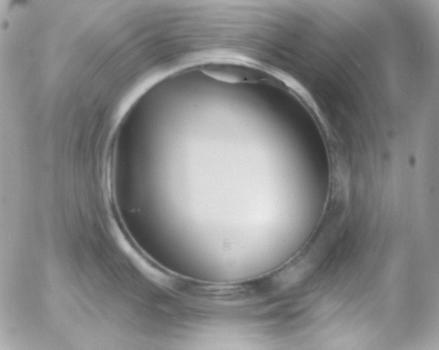 X0000052941391200507221135