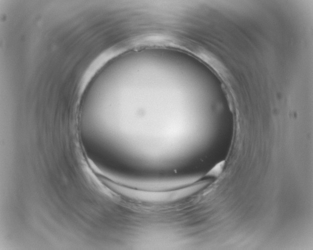 X0000052941392200507221135