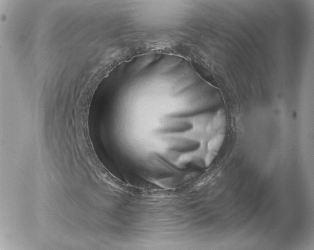 X0000052941393200507221135