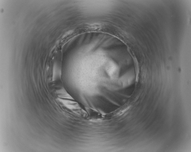 X0000052941394200507221135