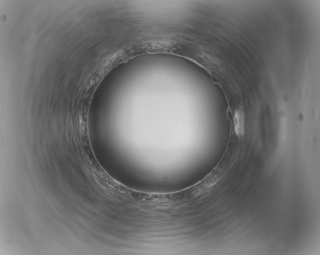 X0000052941395200507221135