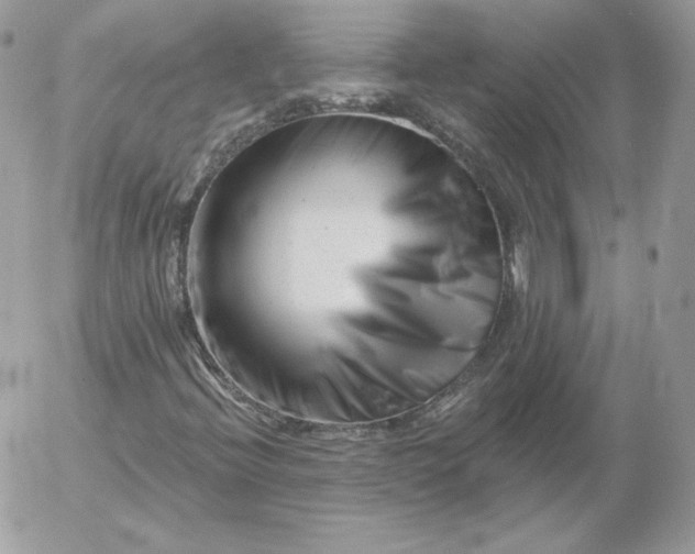 X0000052941396200507221135