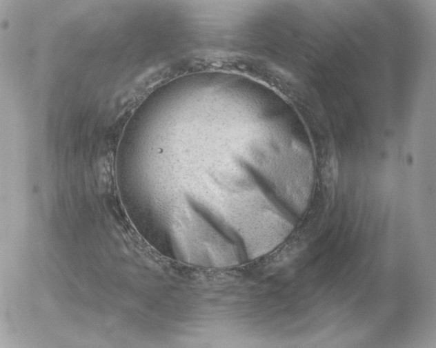 X0000052941397200507221135