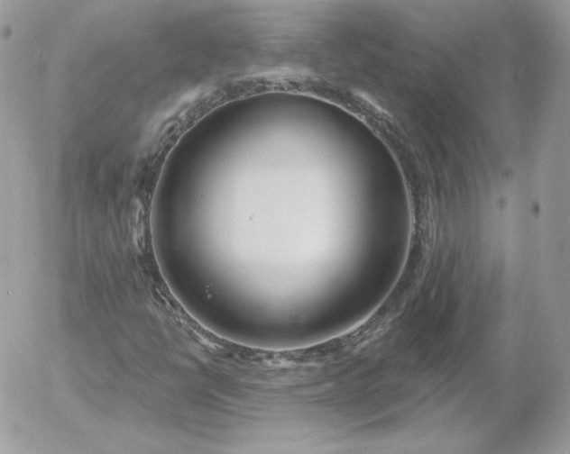 X0000052941398200507221135