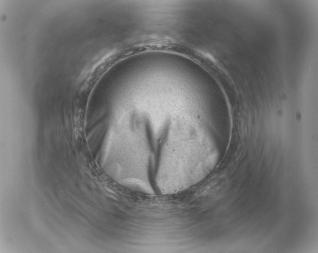 X0000052941399200507221135