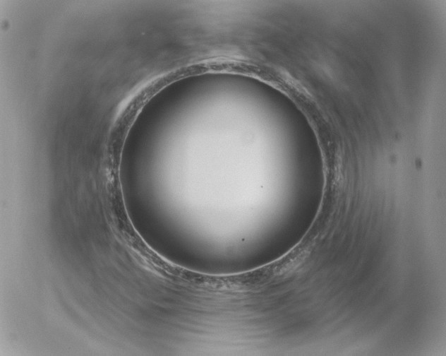 X0000052941400200507221135