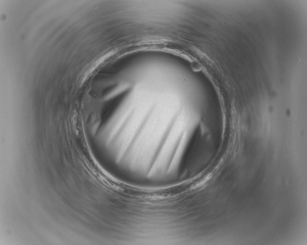 X0000052941401200507221135