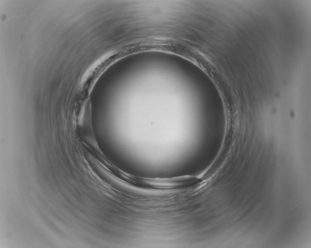 X0000052941402200507221135