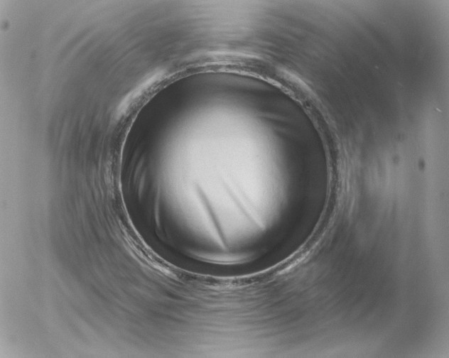 X0000052941403200507221135