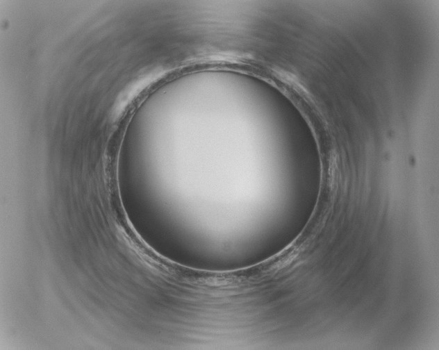 X0000052941404200507221135