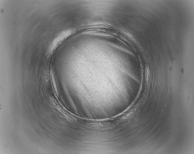 X0000052941405200507221135