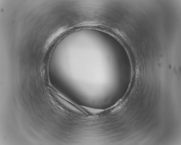 X0000052941406200507221135