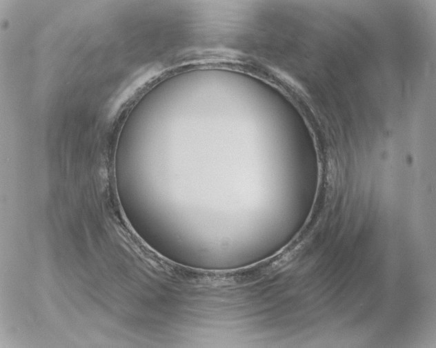 X0000052941407200507221135