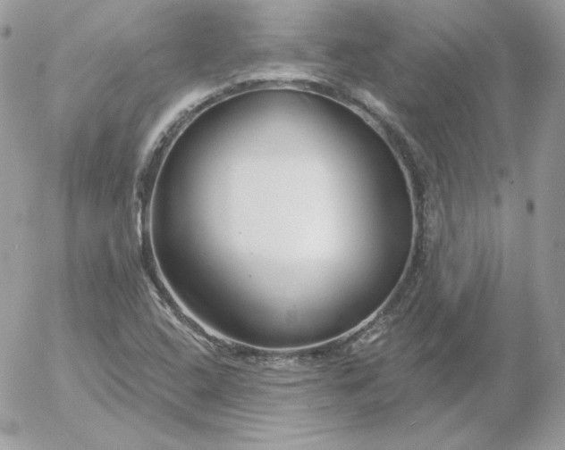 X0000052941408200507221135