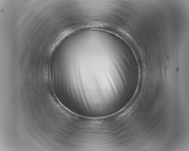 X0000052941409200507221135