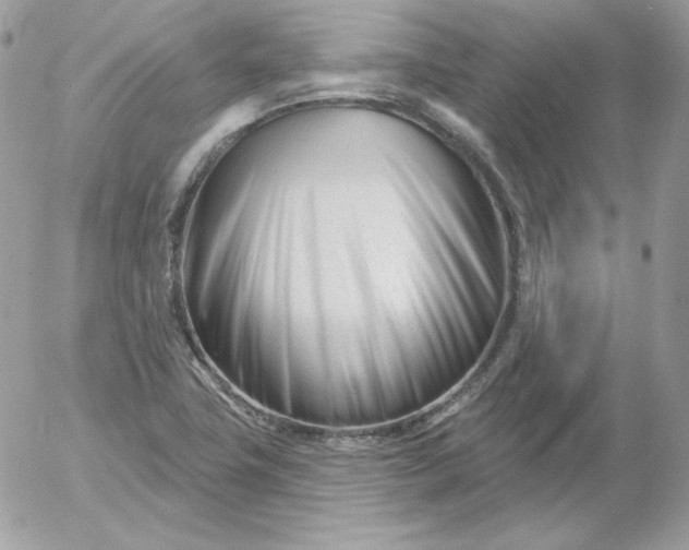 X0000052941411200507221135