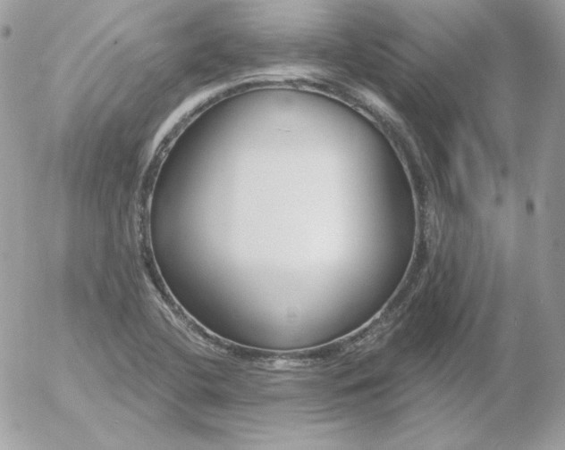 X0000052941412200507221135